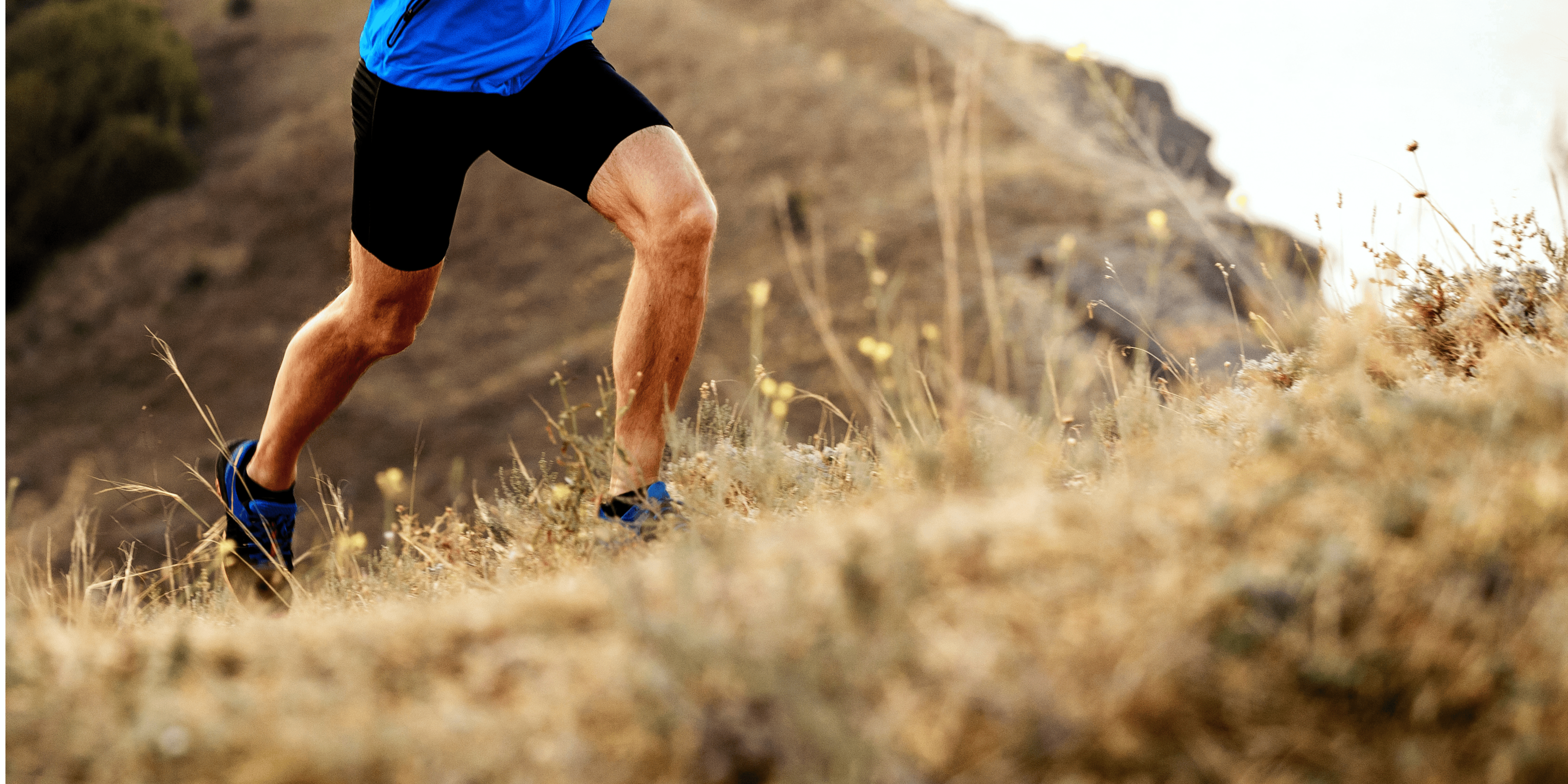 Supporting Male Patients: Optimising Sperm Quality Through Nutrition, Lifestyle, and Supplementation