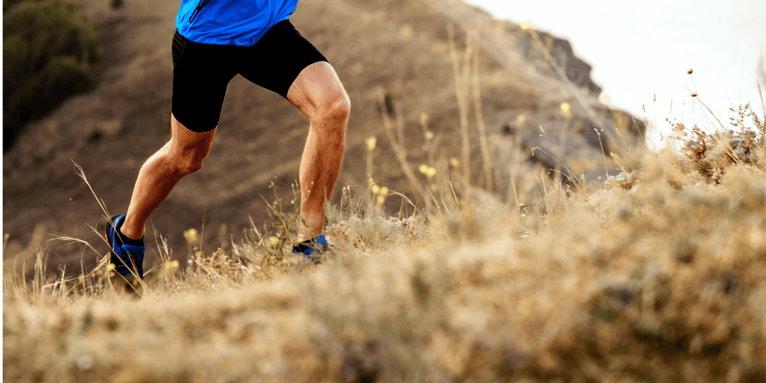 Supporting Male Patients: Optimising Sperm Quality Through Nutrition, Lifestyle, and Supplementation