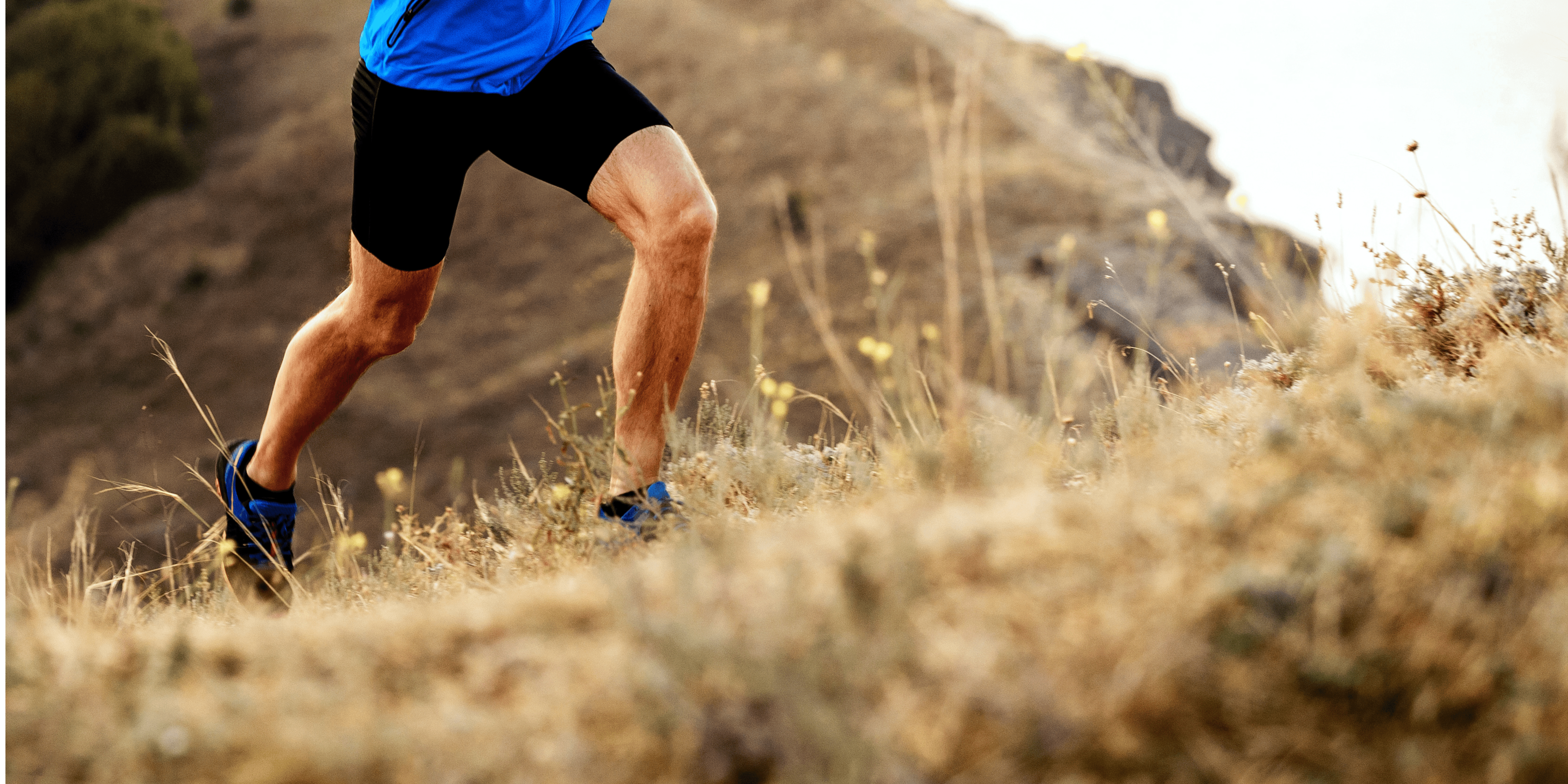 Supporting Male Patients: Optimising Sperm Quality Through Nutrition, Lifestyle, and Supplementation