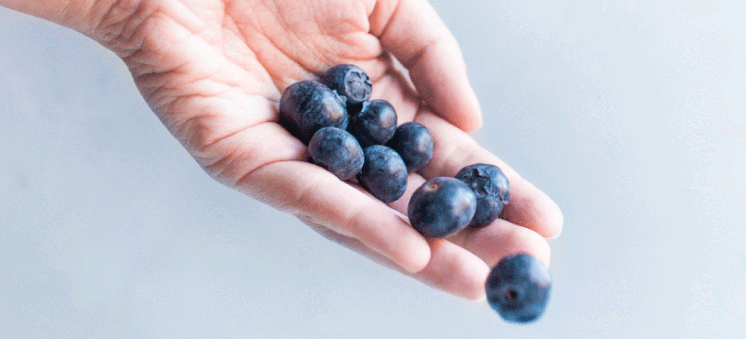 8 superfoods for conception