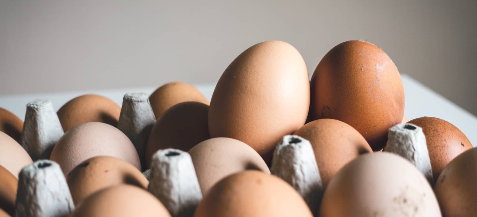 Understanding Egg Health: The Questions We Hear Most