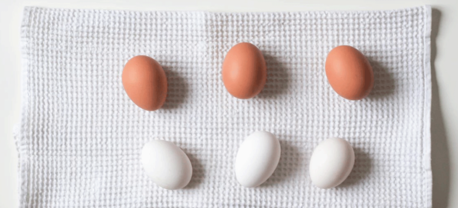 Protein-for-conception