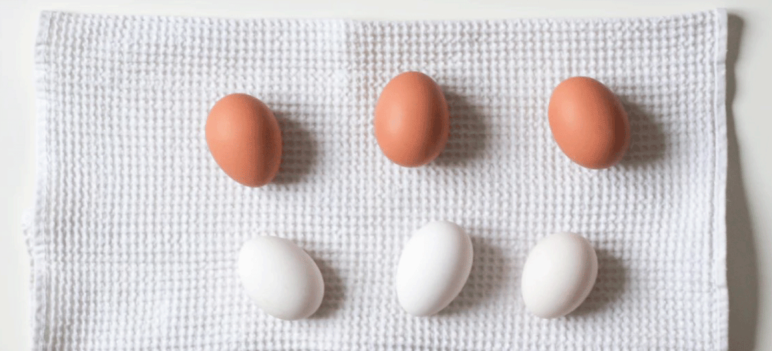 Protein-for-conception