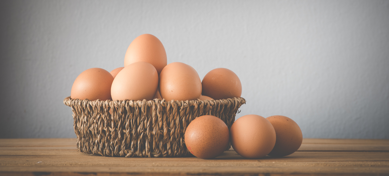 Egg Quality Fertility