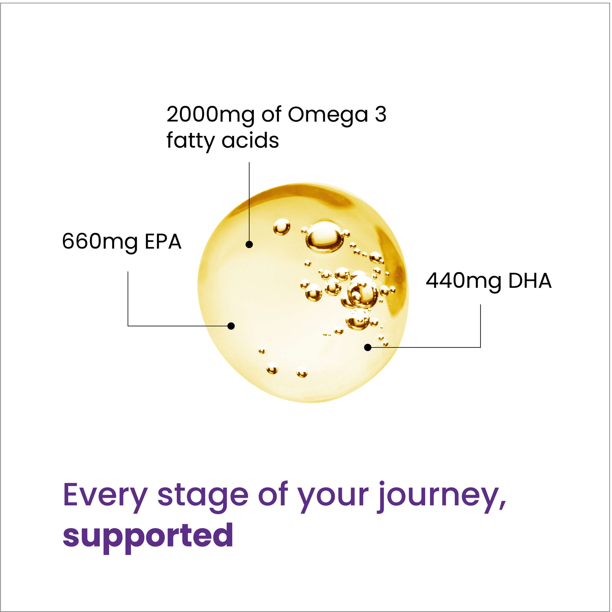 Conception Omega 3 - 2000mg Omega 3 fatty acids - Every stage of your journey, supported. 