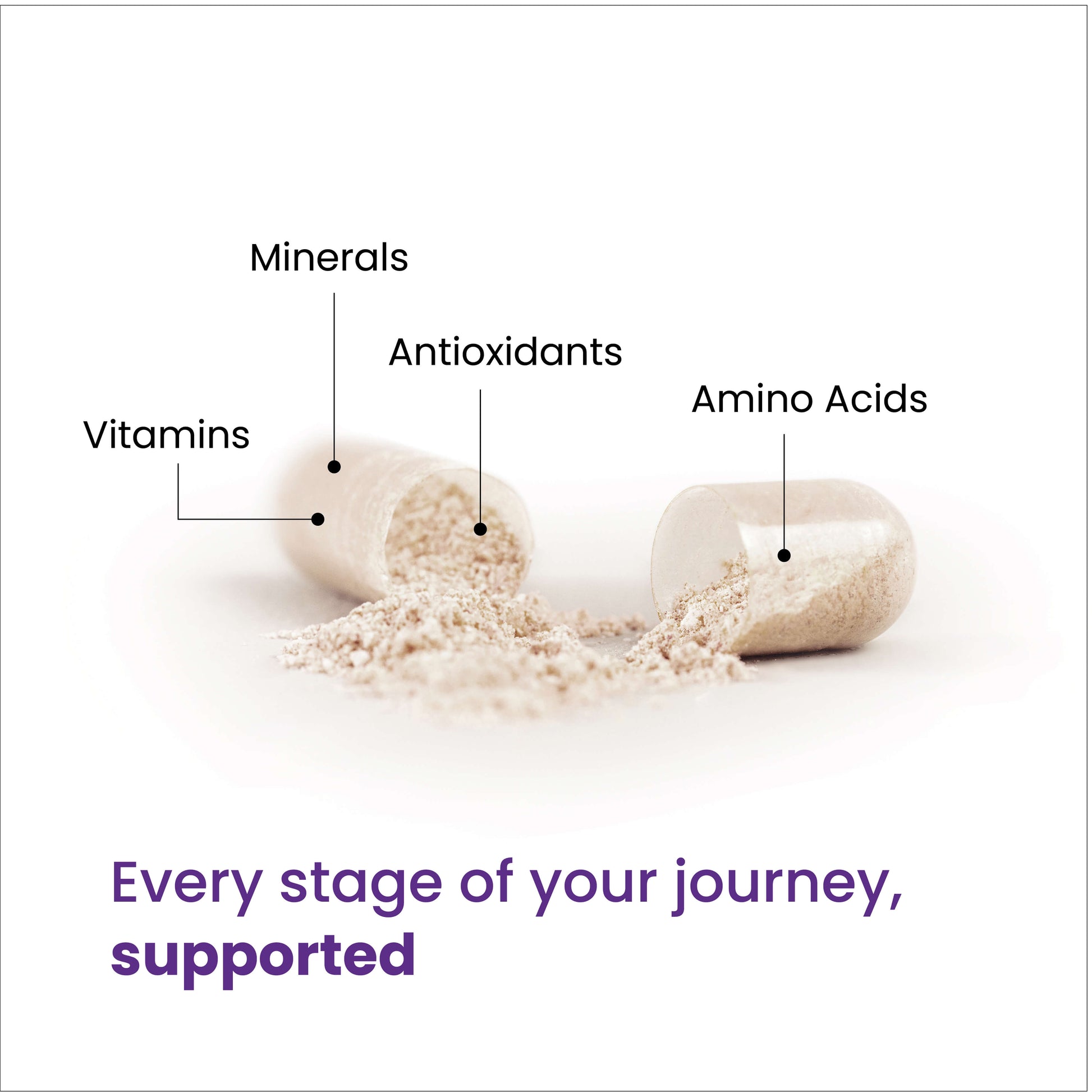 Every stage of your journey, supported through a blend of minerals, vitamins, antioxidants and amino acids. 