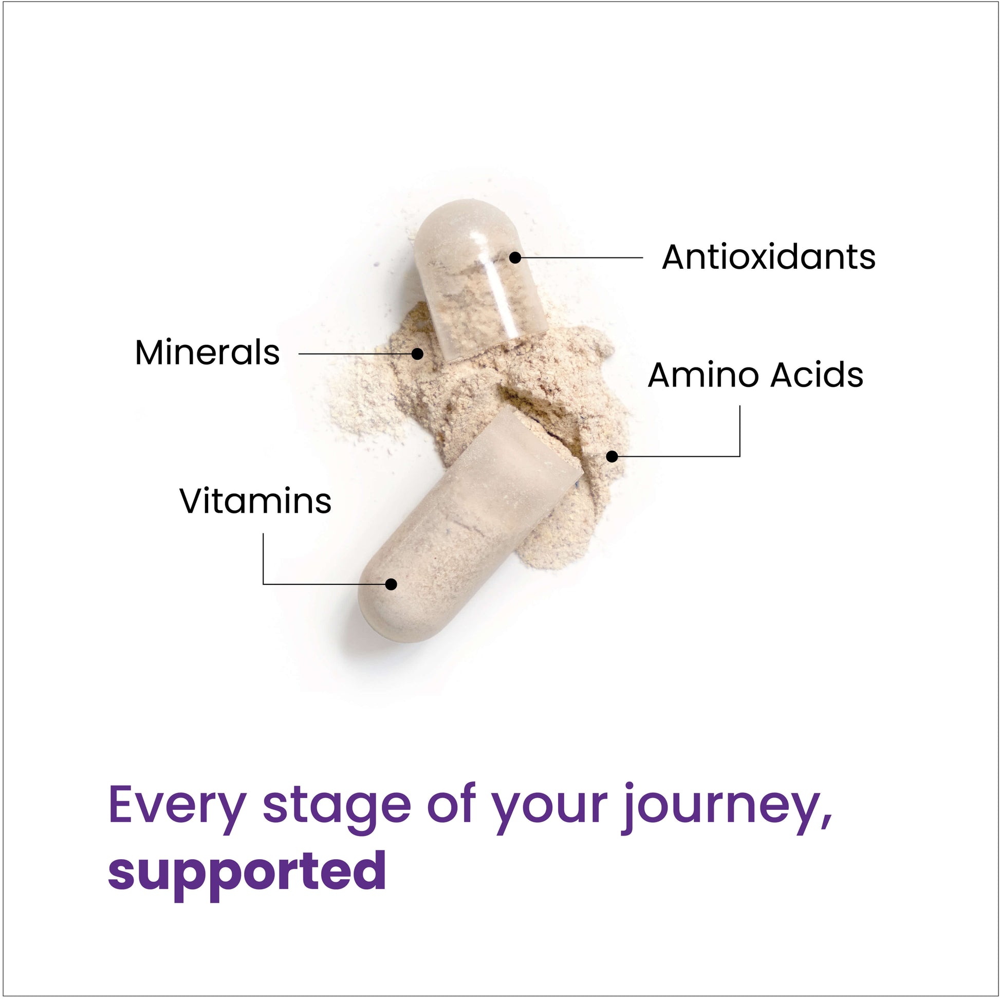 Every stage of your journey, supported through a blend of minerals, vitamins, antioxidants and amino acids. 