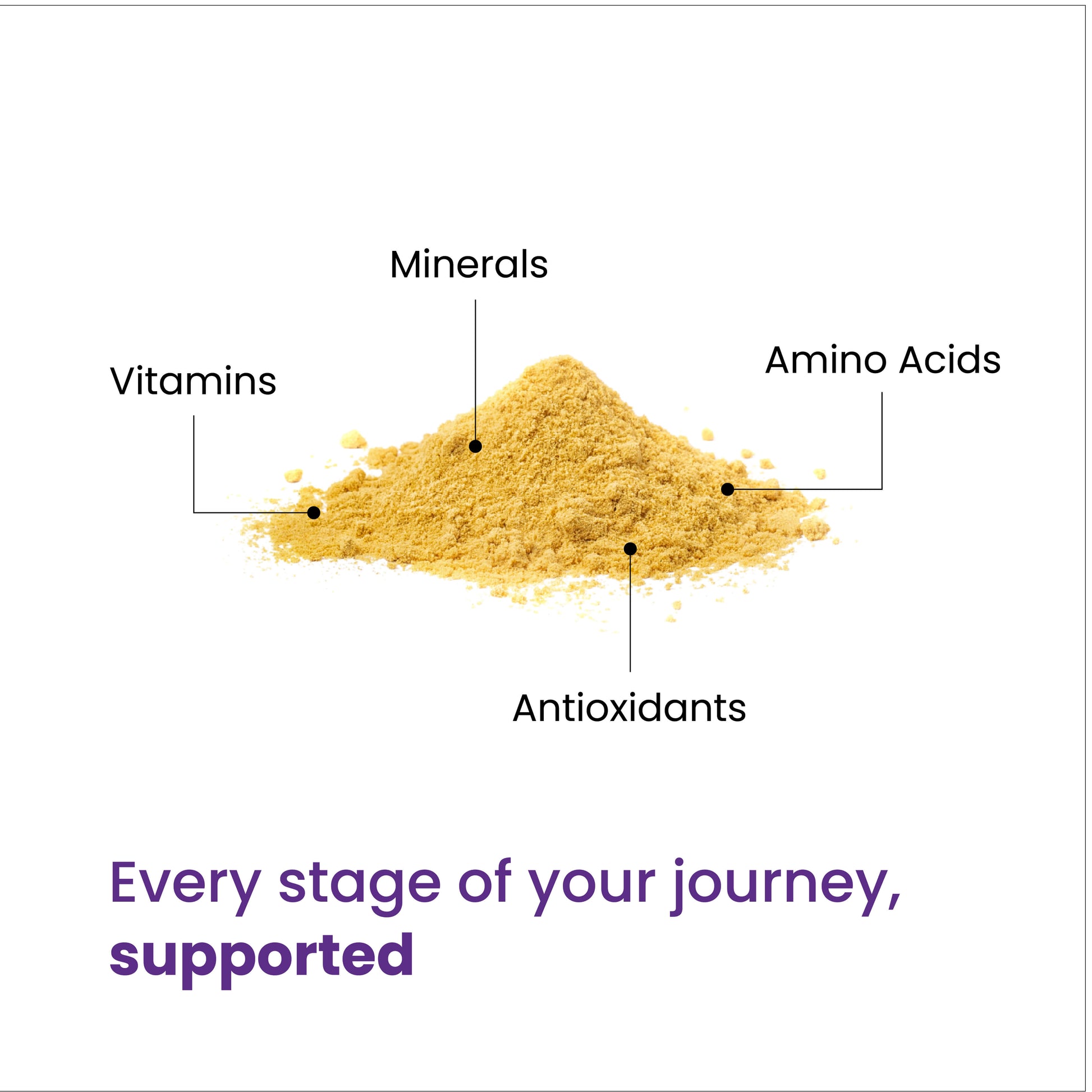 Every stage of your journey, supported through a blend of minerals, vitamins, antioxidants and amino acids. 