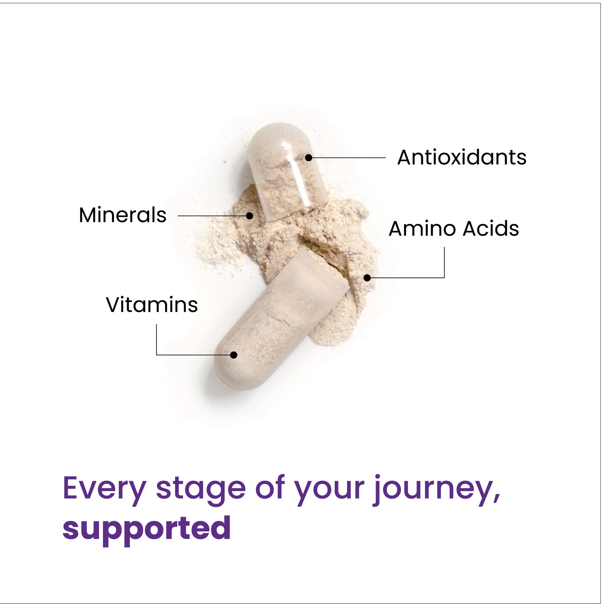 Every stage of your journey, supported through a blend of minerals, vitamins, antioxidants and amino acids. 