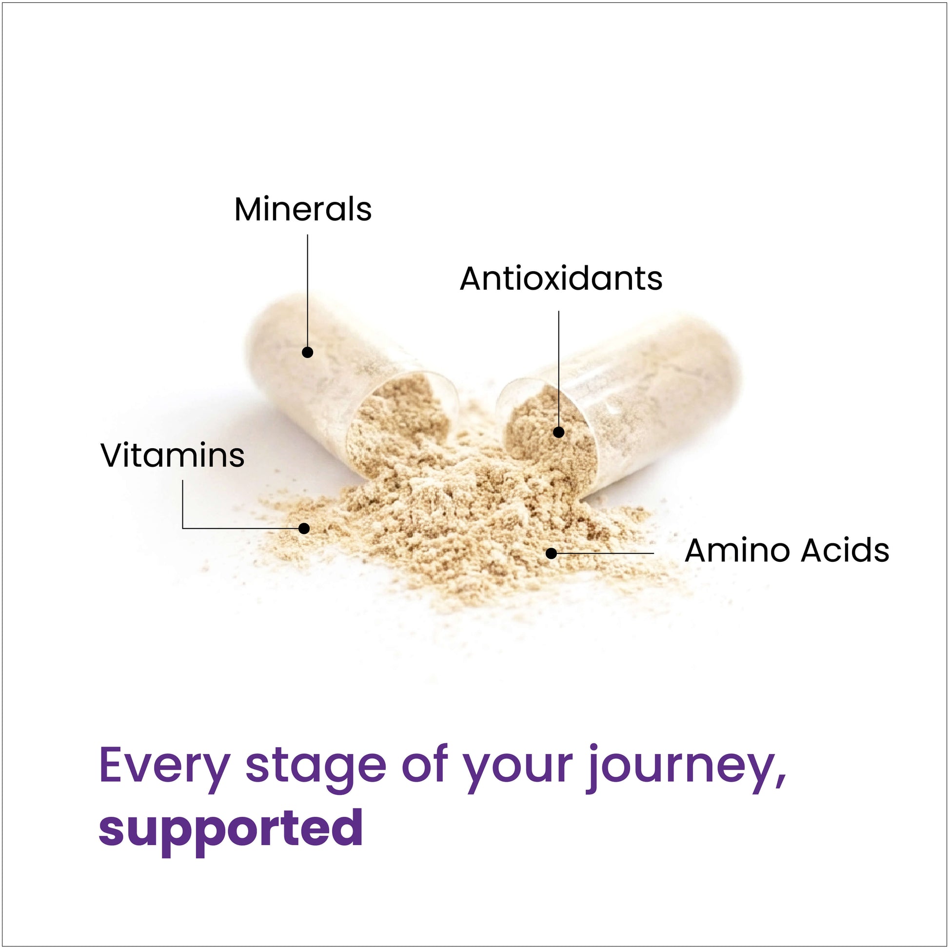 Every stage of your journey, supported through a blend of minerals, vitamins, antioxidants and amino acids. 