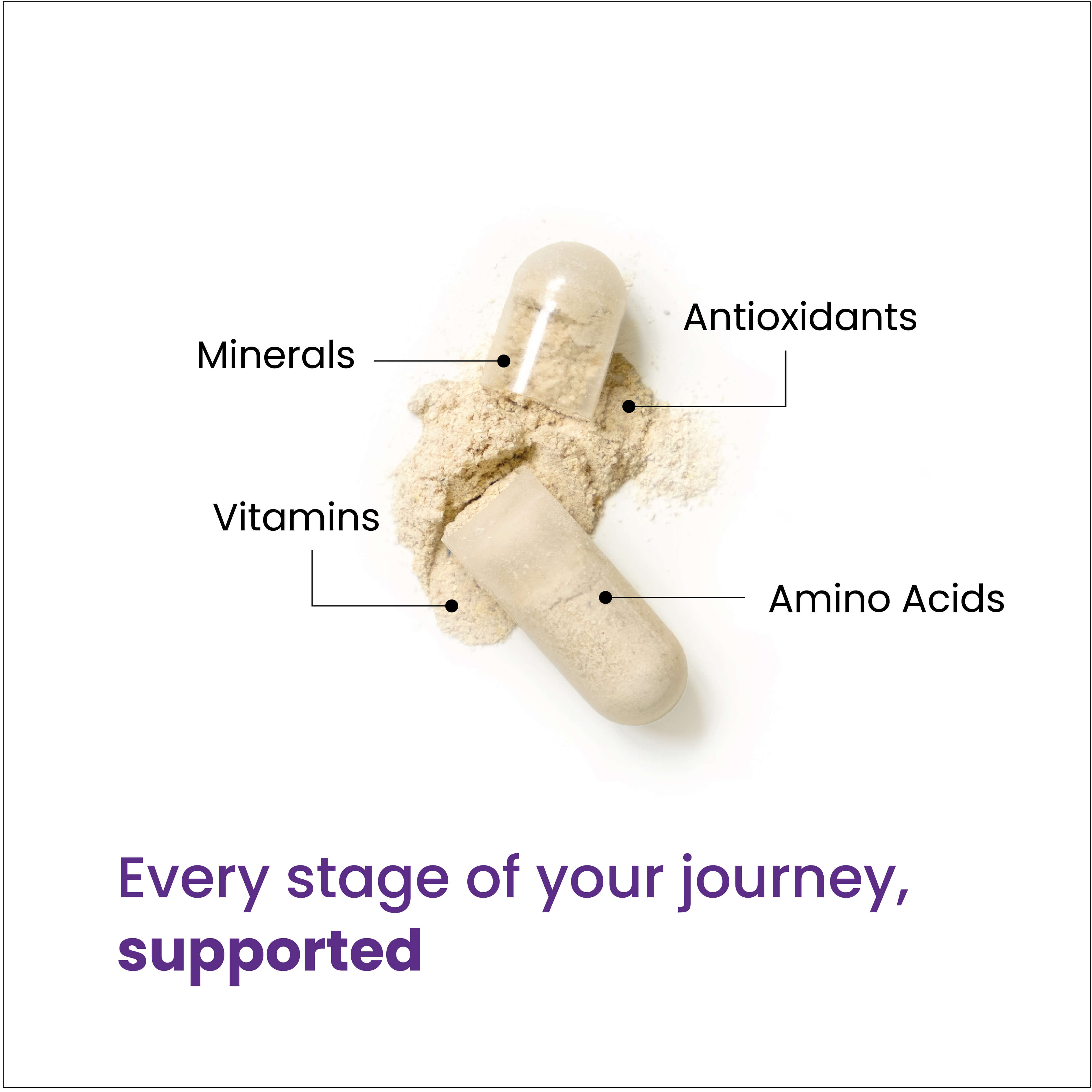 Every stage of your journey, supported through a blend of minerals, vitamins, antioxidants and amino acids. 