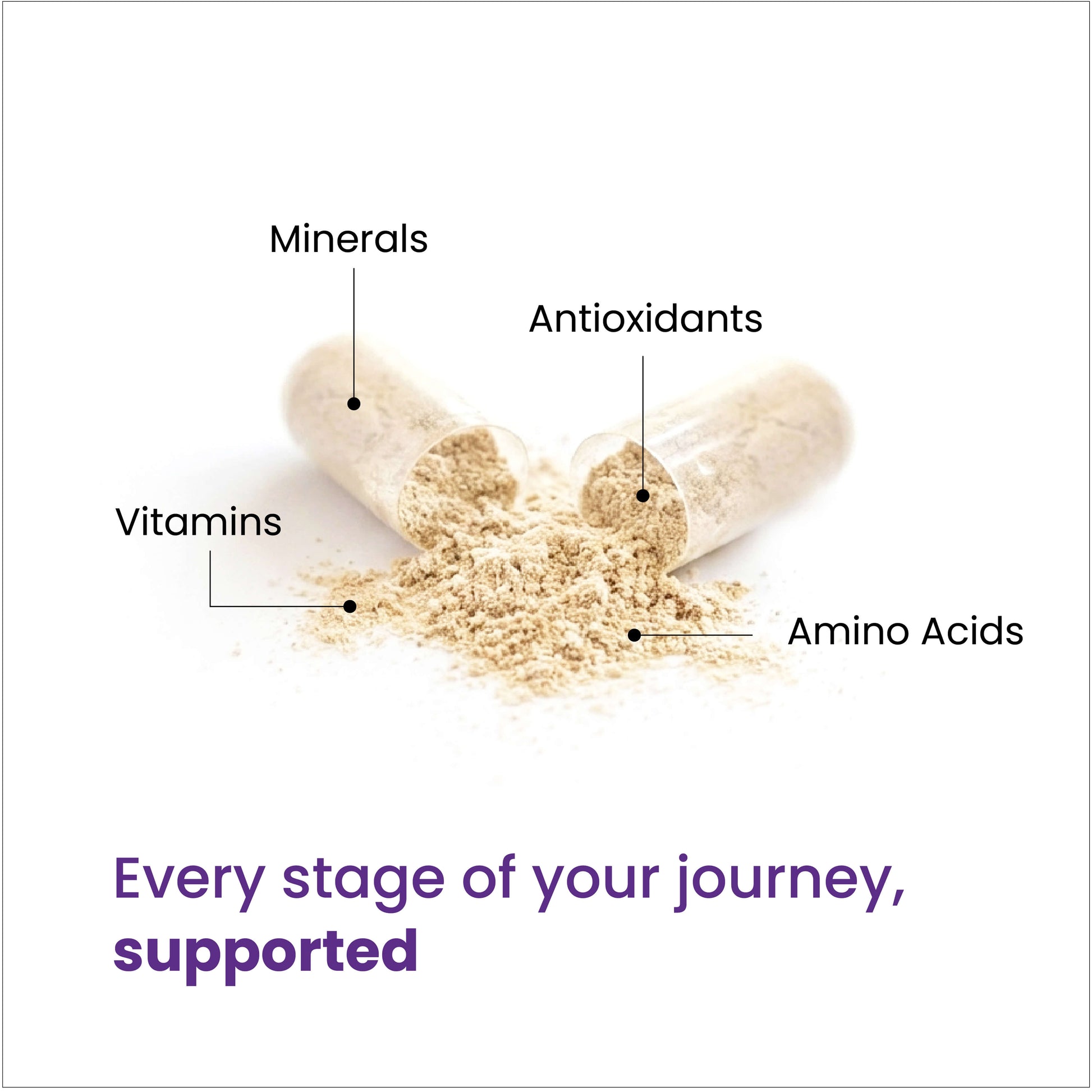 Every stage of your journey, supported through a blend of minerals, vitamins, antioxidants and amino acids. 