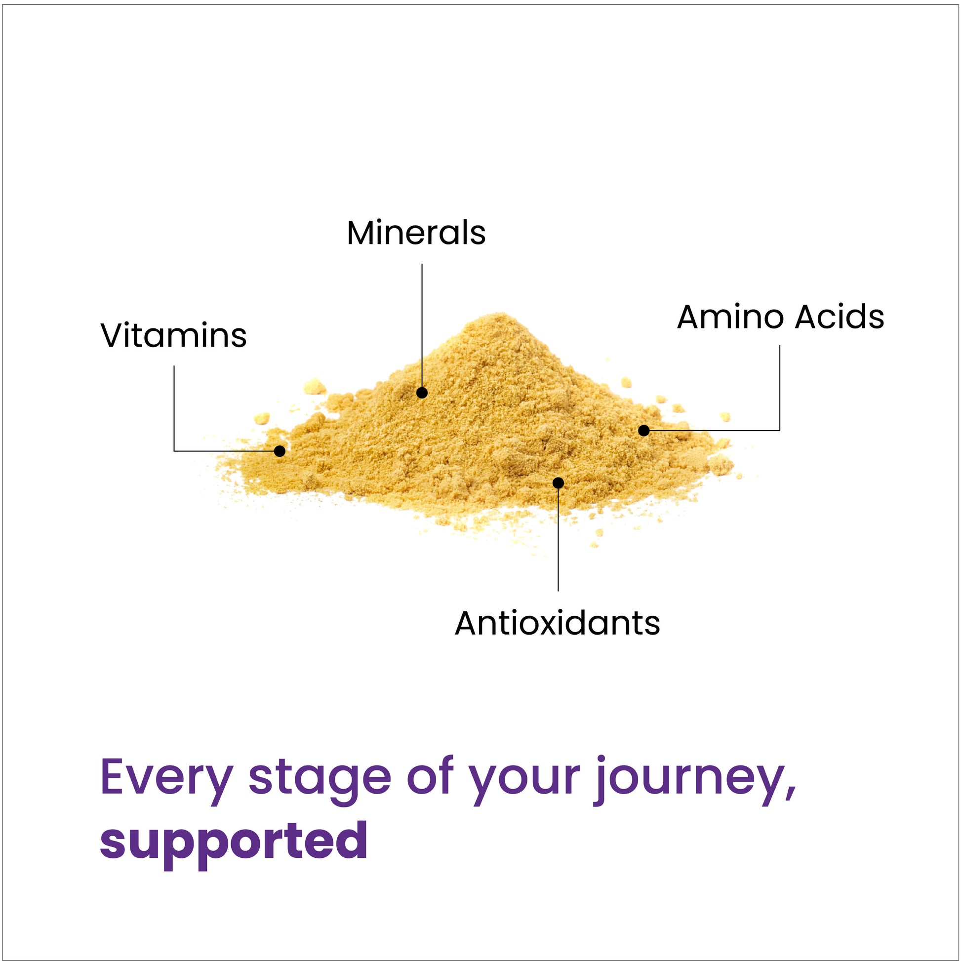 Every stage of your journey, supported through a blend of minerals, vitamins, antioxidants and amino acids. 