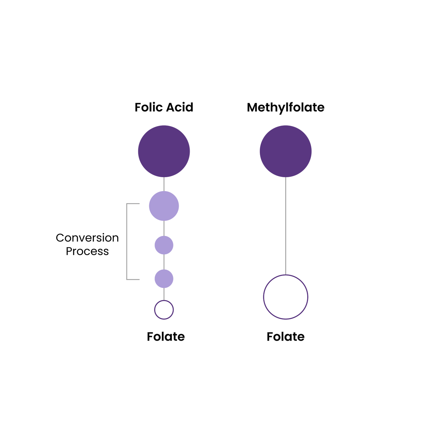 Proceive