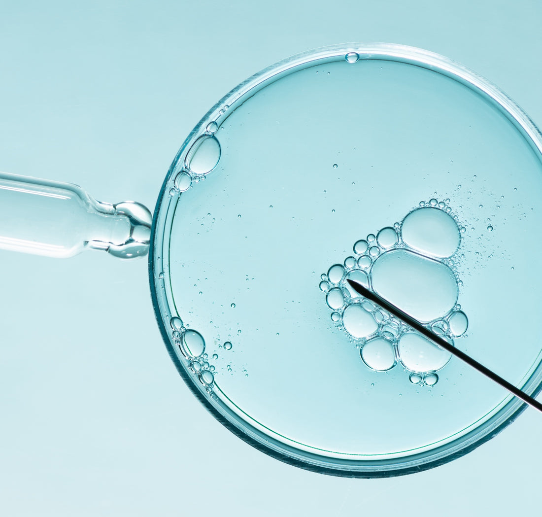 Jules Von Hepp - Why Sperm Health Should be part of every fertility conversation - Read More 